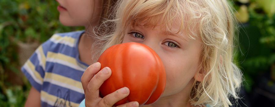 Kinder-Garten