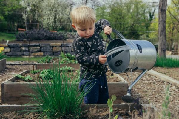 Kleiner Junge im Garten